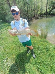 Northern Pike