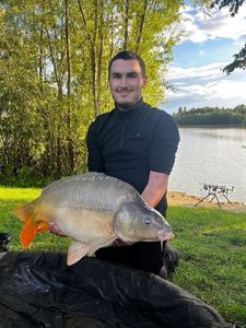 Mirror Carp