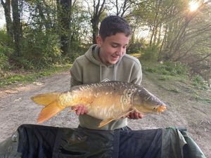 Mirror Carp