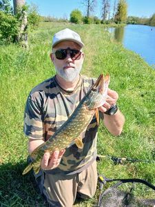 Northern Pike
