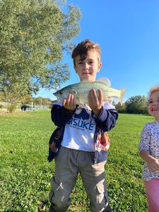 Largemouth Bass