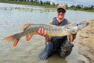 Northern Pike
