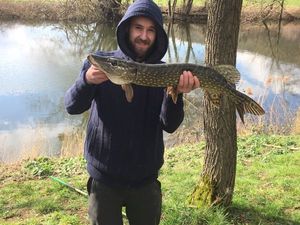 Northern Pike