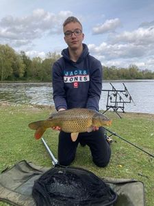 Common Carp