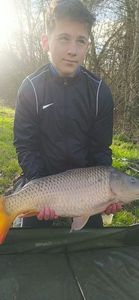 Common Carp