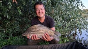 Crucian Carp