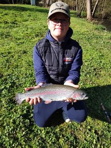Rainbow Trout