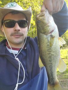Largemouth Bass