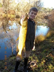 Northern Pike