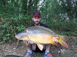 Mirror Carp