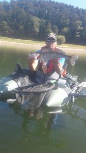 Zander