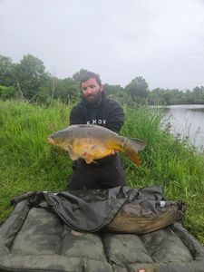 Mirror Carp