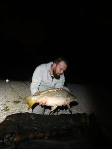 Mirror Carp