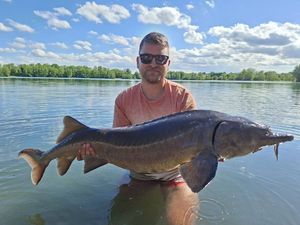 Sturgeon
