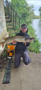 Northern Pike