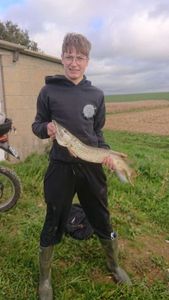 Northern Pike