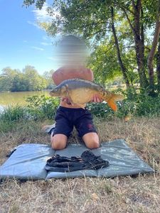 Mirror Carp