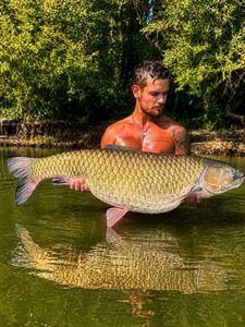 Grass Carp