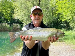 Rainbow Trout