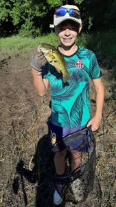Largemouth Bass