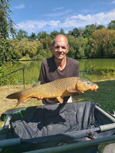 Common Carp