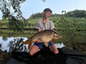 Common Carp