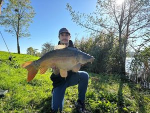 Mirror Carp