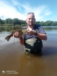 Smallmouth Bass