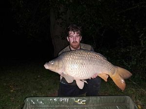 Common Carp