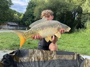 Mirror Carp