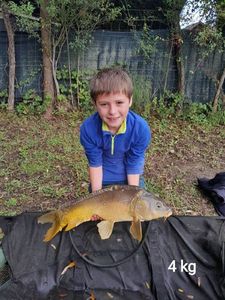 Mirror Carp