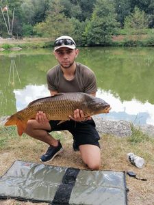 Common Carp