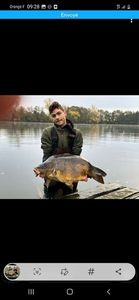 Mirror Carp