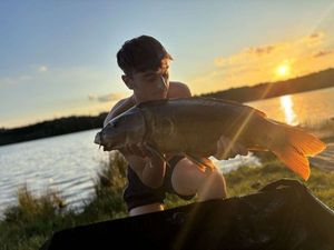 Mirror Carp