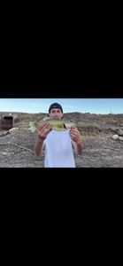 Largemouth Bass