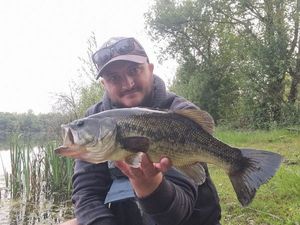 Largemouth Bass