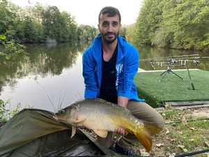 Mirror Carp