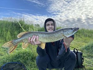 Northern Pike