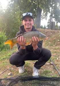 Common Carp