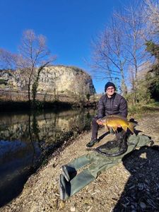 Mirror Carp