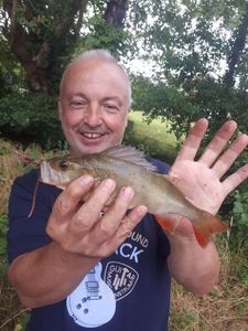 European Perch