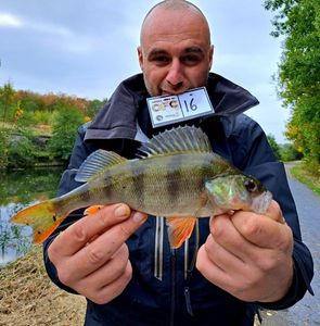 European Perch