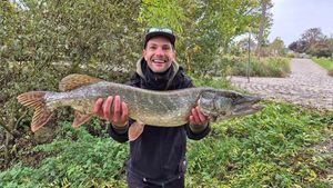 Northern Pike
