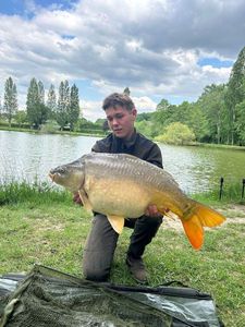 Mirror Carp