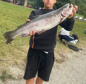 Rainbow Trout