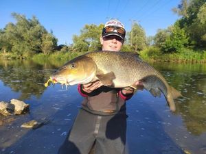 Barbel
