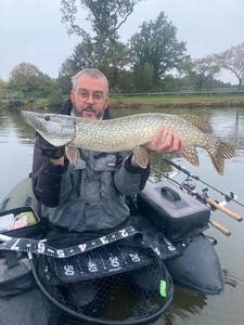 Northern Pike