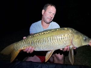 Mirror Carp