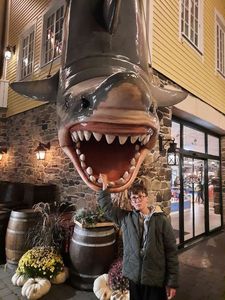 White Shark