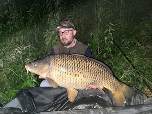 Common Carp